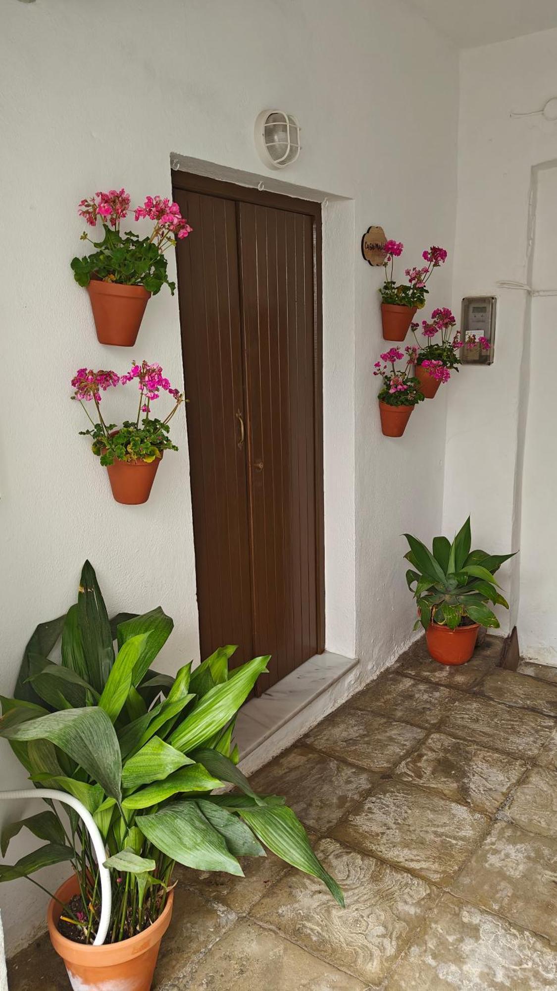 Casa Malia Apartamento Recien Reformado En Centro Вьер де ла Фронтера Экстерьер фото
